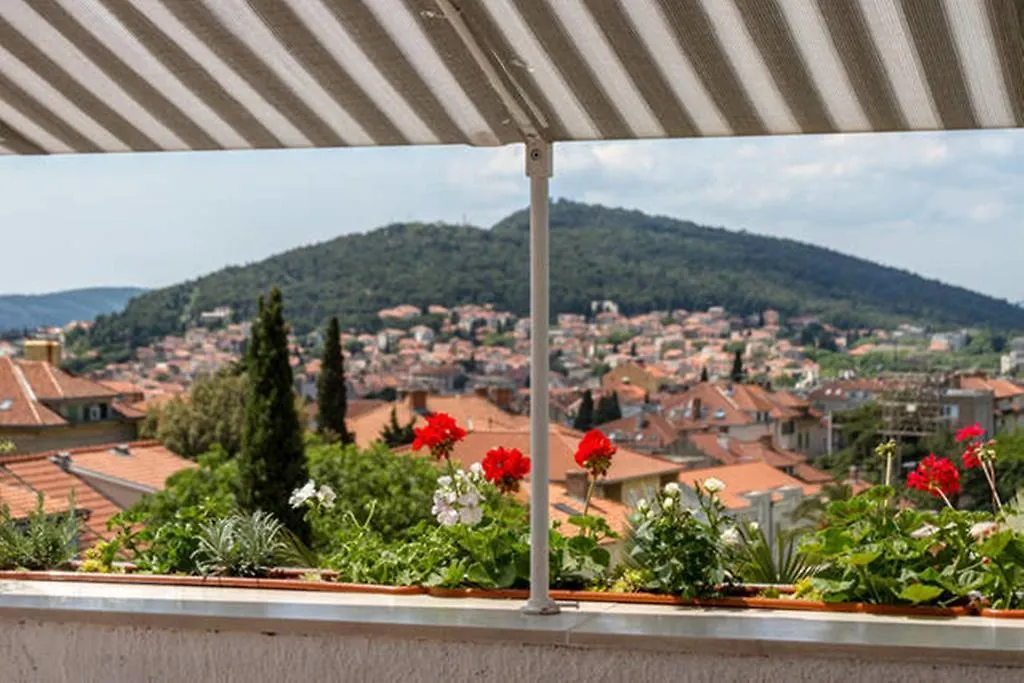 Apartment Palm Penthouse Terrace Split